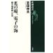  свет. место, электронный. море квантовый место теория к дорога Shincho подбор книг / Yoshida . Хара ( автор )