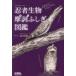  ninja живое существо ..... иллюстрированная книга сырой кимоно ..... иллюстрированная книга / север . самец один ( автор )