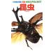  насекомое Shogakukan Inc.. иллюстрированная книга NEO POCKET1/ маленький .. один, Ono выставка ., Machida дракон один ., рисовое поле сторона сила, лес сверху доверие Хара, тубус 