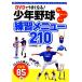 DVD. хорошо становится! подросток бейсбол тренировка меню 210 частное лицо группа команда /YBC бейсбол .[..]