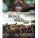 IMAX:Born To Be Wild 3D-. сырой . сырой ..-(Blu-ray Disc)/ Morgan * свободный man ( закадровый текст ), David *li
