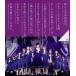  Nogizaka 46 1ST YEAR BIRTHDAY LIVE 2013.2.22 MAKUHARI MESSE(Blu-ray Disc)/ Nogizaka 46