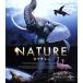  nature (Blu-ray Disc)/( документальный ),. река Chris teru( Navigator ), Neal * Найтингейл 