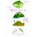 to....! низкий гора путешествие Kanto flat .. брать . шт . название низкий гора 31 сиденье / большой внутри .( автор )