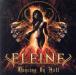 ���󥷥󥰡����󡦥إ�/Eleine