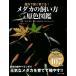me Dakar. .. person &amp;. цвет иллюстрированная книга наружный . сильно ...!/ Sasaki ..( автор ), Yamazaki ..(......~.)(
