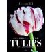 TULIPS мир. . красота . тюльпан ..je-n* East ... тюльпан. история . новейший цветок /je-n* East 