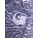  Godzilla -1.0( роскошный версия )(Blu-ray Disc)/( относящийся ) Godzilla, бог дерево ...,. сторона прекрасный волна, гора рисовое поле .., синий 