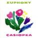  You fo колено /CASIOPEA