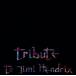  Tribute *tu*jimi* ручной liks/ paul (pole) * Gilbert 