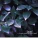Turn Over A New Leaf/REEF