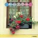  Home * концерт /( Classic )