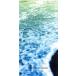 ��8cm�ۥ�����������桼/������/��¼δ��(LUNA SEA)