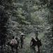  eko -z*ob* The * forest /( сборник )