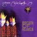  Рождество * альбом : breath *ob*hevun~ Hori tei* коллекция / свечение va-* Washington Jr., высокий la