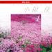  super * value ~COLLECTION1/ Ogura Kei 