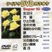  super 10( энка сборник ) женщина плач река /. дудка др. все 10 искривление /( караоке )