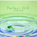 Perfect Gift/KABUTO