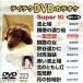  Tey chikDVD караоке super 10(223)/( караоке )