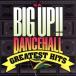 BIG UP!! Dancehall CREATEST HITS/( сборник )