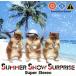 Super Stereo/Summer Snow Surprise