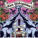 How Many More Times/Ken Yokoyama