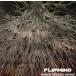 UNDER GROUND SOUND/FLIP MIND