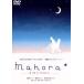 mahora�� -�ޤۤ�Τۤ���/��ƣ������,���ĤҤȤ�,Ĺë��ͥ