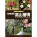  Hokkaido. альпийские растения . внешний вид разделение иллюстрированная книга / слива ..[ работа ]