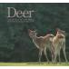 Deer CREATURES OF THE WILD Sato .. фотоальбом / Sato ..( автор )