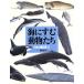 море ... животное ..(2) японский млекопитающие книга с картинками иллюстрированная книга серии 15/. внутри правильный .( автор )