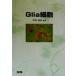 Glia маленький ./ сырой рисовое поле ..( автор )