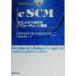 eSCM e�ӥ��ͥ�����ΥХ�塼����������ά Best solution/�ץ饤�������������ϥ��������ѡ���SCM���롼��(����)