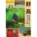  дикая птица дикая птица наблюдение * день шт. смотреть 225 вид /. рисовое поле Akira 