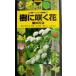 .... цветок .. цветок (1) гора . портативный иллюстрированная книга 3/. дерево ., высота . превосходящий мужчина,. гора блестящий мужчина, Ishii Британия прекрасный, Oota 