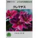  клематис NHK хобби. садоводство хорошо понимать культивирование 12. месяц / Сугимото . структура ( автор ),. река широкий ( автор )