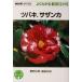  камелия,sa The nkaNHK хобби. садоводство хорошо понимать культивирование 12. месяц /.. осень .( автор ), коробка рисовое поле прямой .( автор )