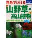  цветок цвет .... луговые и горные травы * альпийские растения природа. . гора . высота гора ...416 вид / большой ...