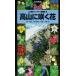  высота гора ... Hanayama . портативный иллюстрированная книга 8/ Shimizu . прекрасный ( сборник человек ), дерево ..