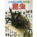  insect Shogakukan Inc.. illustrated reference book NEO3| small .. one, Ono exhibition ., Machida dragon one ., rice field side power, forest on confidence Hara, tube ..