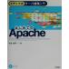  подножка тип сервер сооружение введение впервые .. Apache/ маленький болото ..( автор )