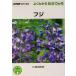  Fuji NHK хобби. садоводство хорошо понимать культивирование 12. месяц / река . рисовое поле ..( автор )