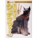 веселый миниатюра *shunautsa- жизнь все . понимать совершенно собака вид manual / love собака. . редактирование часть ( сборник человек )