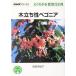  дерево ... бегония NHK хобби. садоводство хорошо понимать культивирование 12. месяц / остров рисовое поле иметь ..