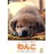 wa..THE MOVIE/( сборник фильм ), Hirosue Ryouko ( закадровый текст ), Ooshima mi Chill ( музыка )