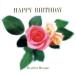 HAPPY BIRTHDAY/( исцеление )