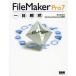 FileMaker Pro7 один глаз ../ запад ...( автор )