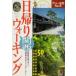  день .. ходьба Kansai взрослый . пара BOOK/JTBpa желтохвост sing