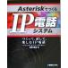 Asterisk....IP телефон система один ..., попробовав, приятный IP телефон PCtoPC из IP-PBX до / высота .