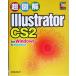  супер иллюстрация Illustrator CS2 for Windows &amp; Macintosh супер иллюстрация серии /eks носитель информации ( автор )